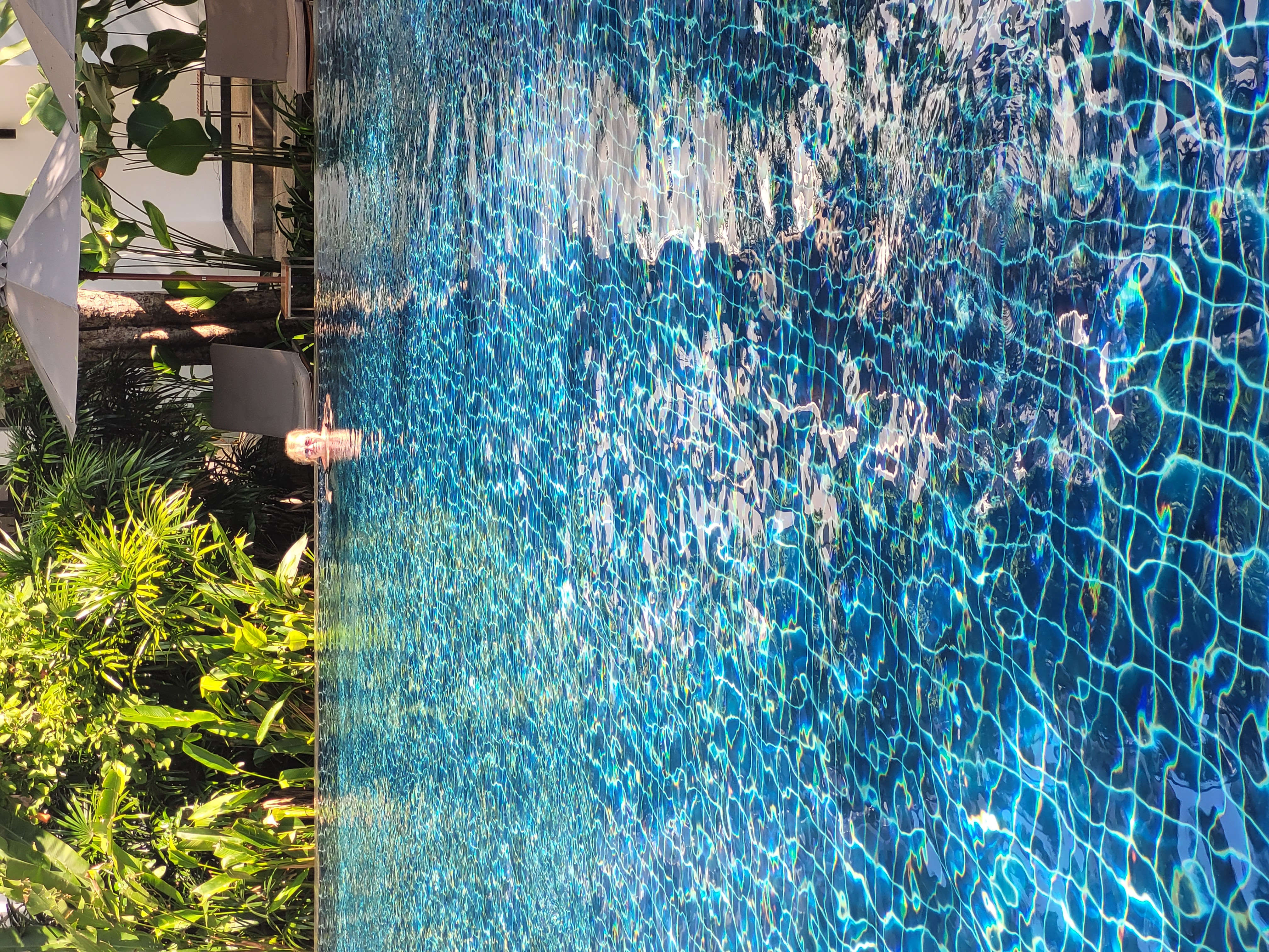 Фото Woodlands Hotel & Resort