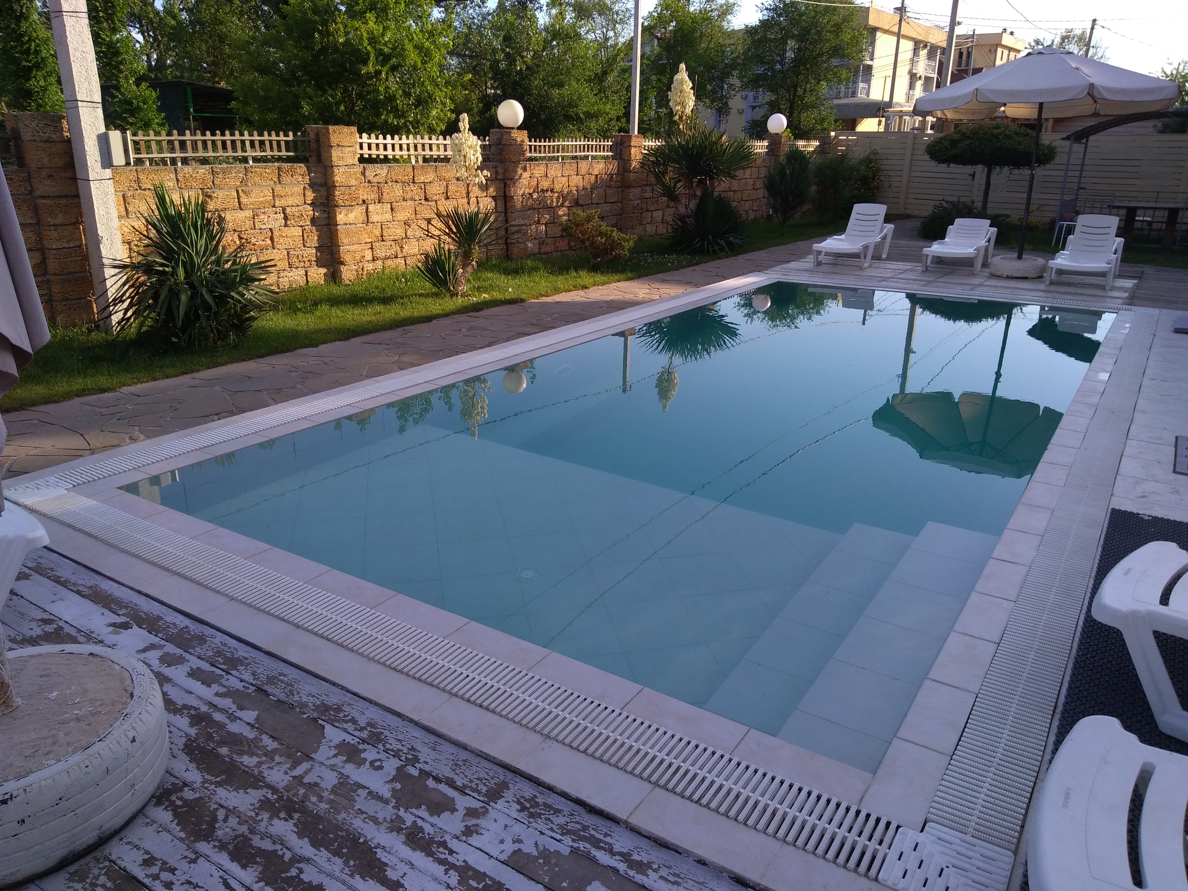 Фото Дублин Дельфин