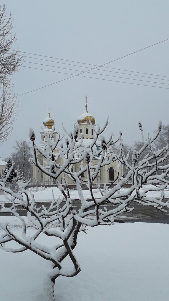 Orthodox church Ksenii Peterburgskoy v Gubkine Church, Gubkin, photo