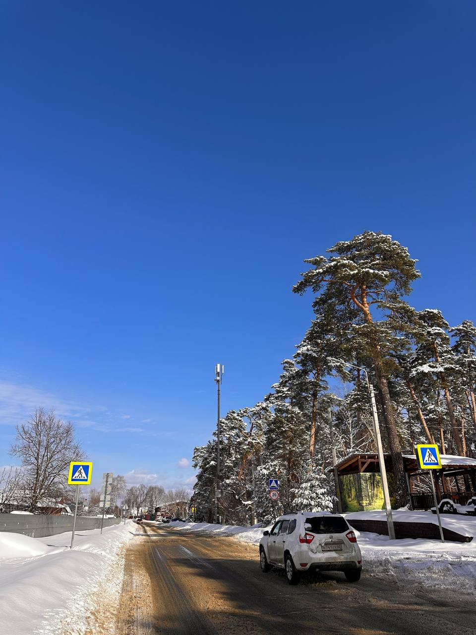 Фото Паустовский