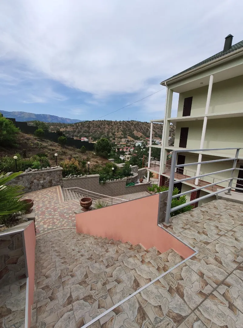 Фото Дельфин