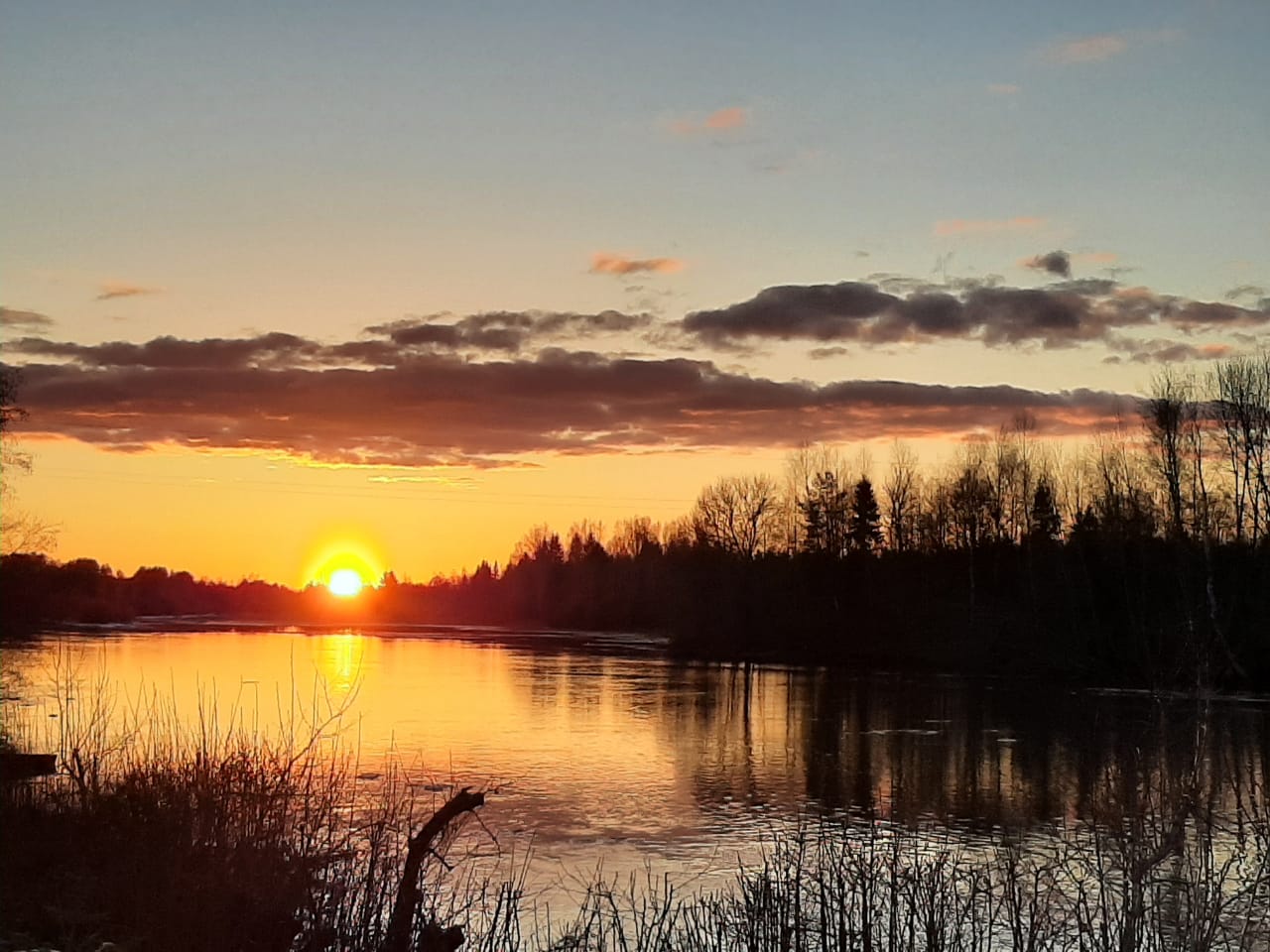 Фото Андога