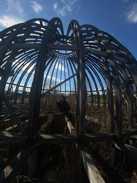 Фото Комьюнити Деревня