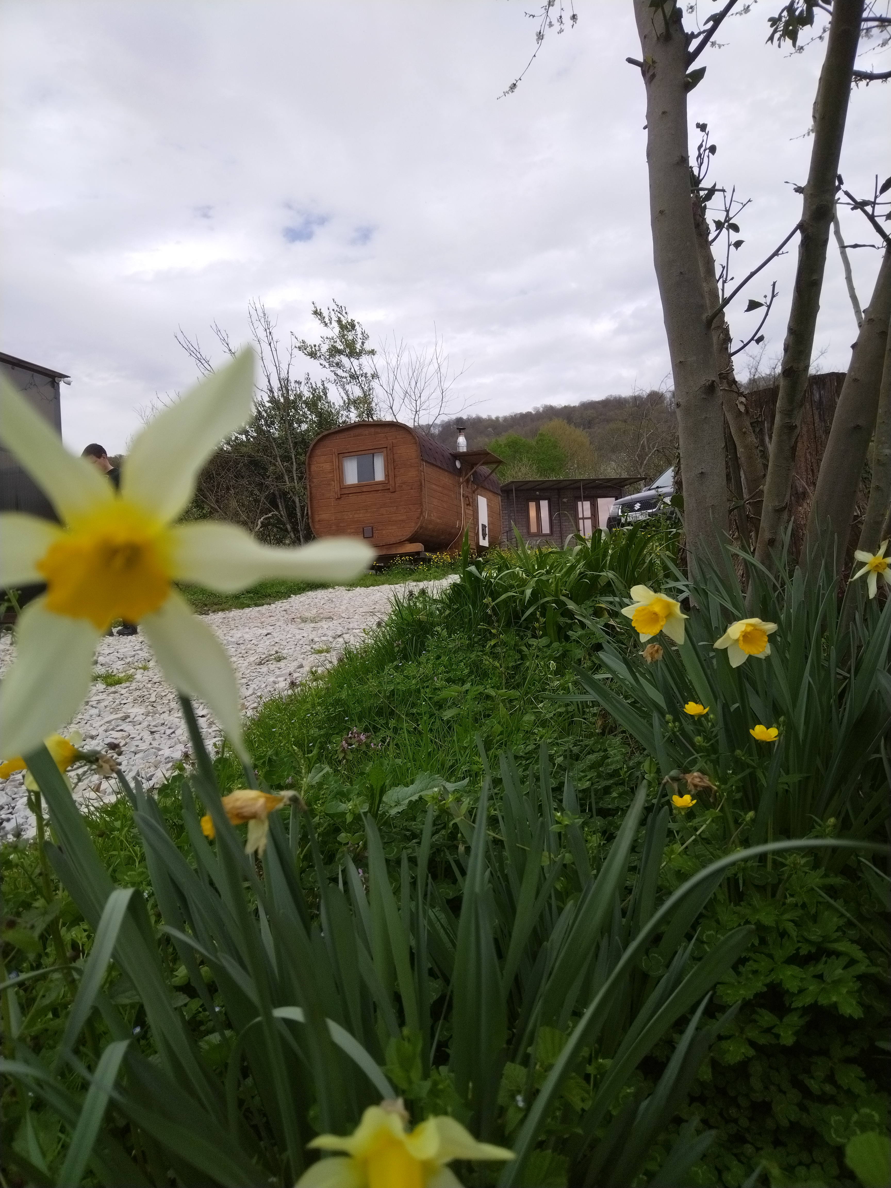 Фото Воронцовская Дача