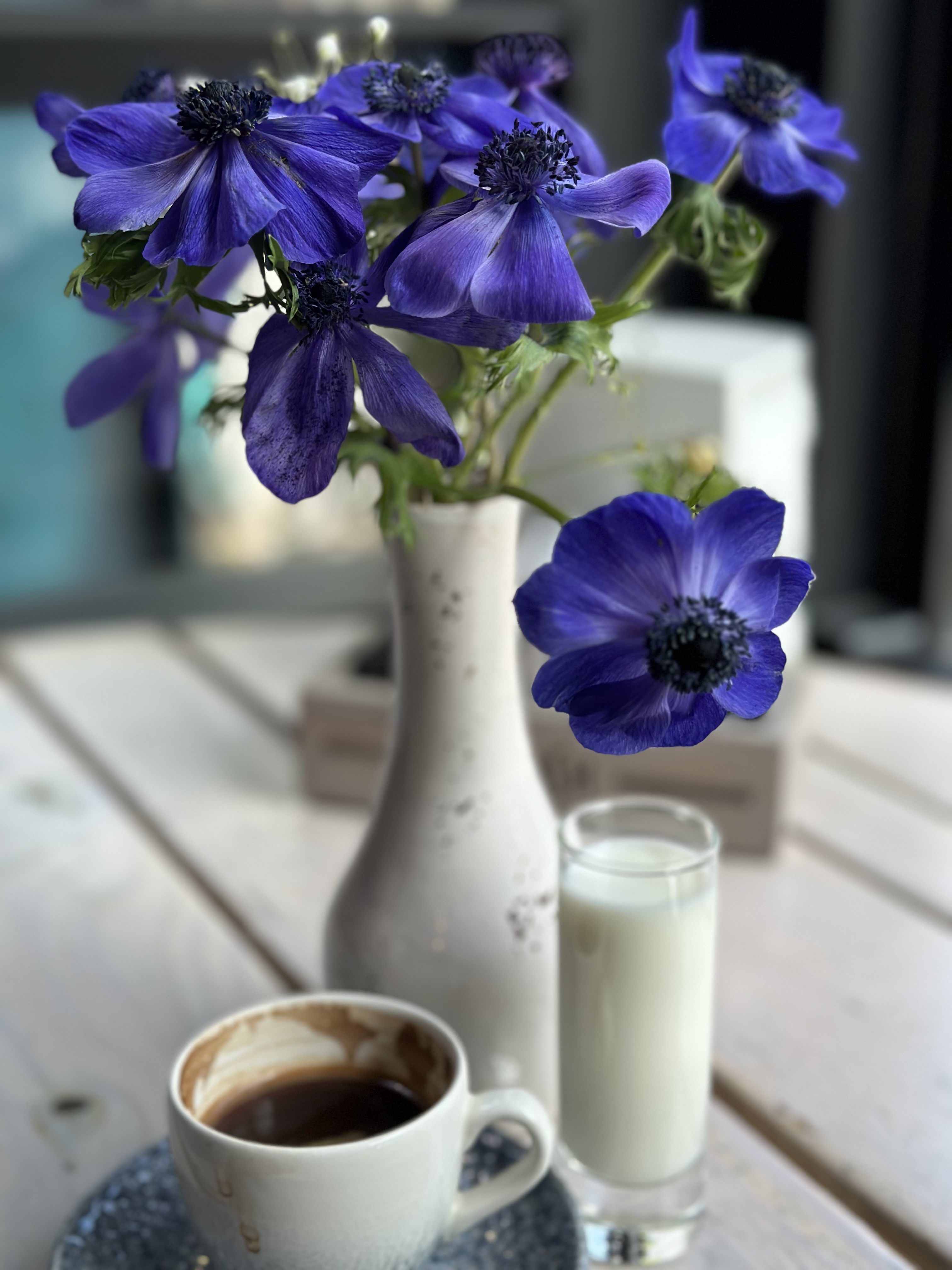 Фото Sphera by Stellar Hotels