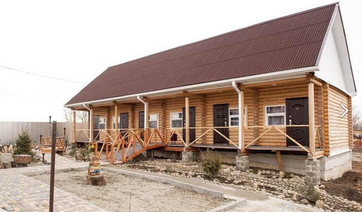 Фото Золотая рыбка