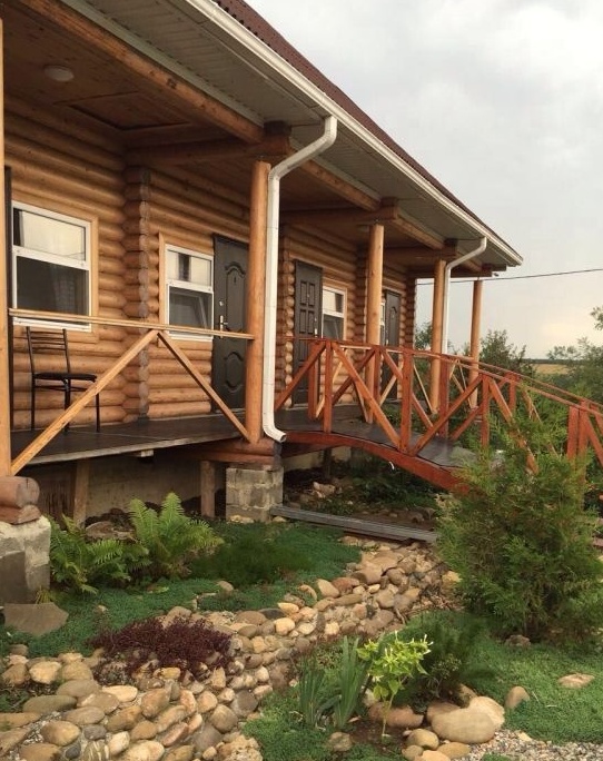 Фото Золотая рыбка