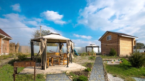 Фото Золотая рыбка