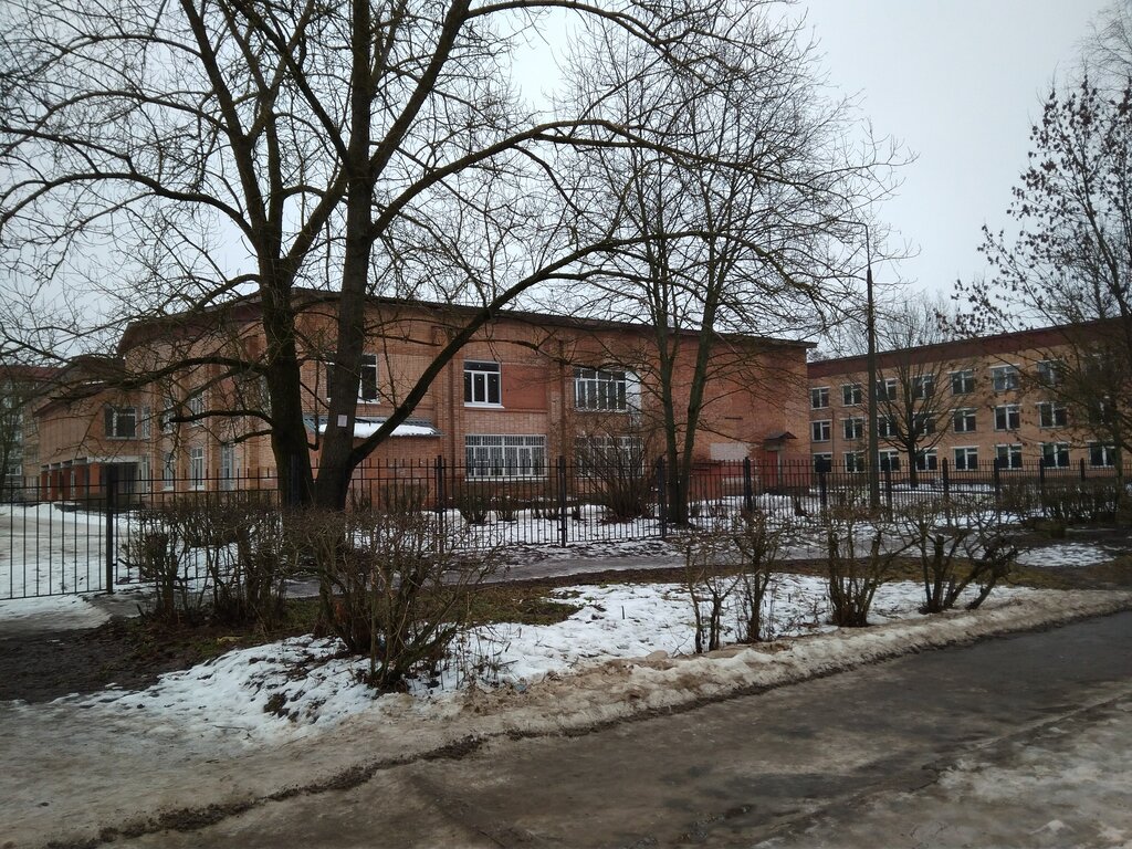 Отзывы о «Гатчинский лицей № 3 им. Перегудова А. И.» Россия ...