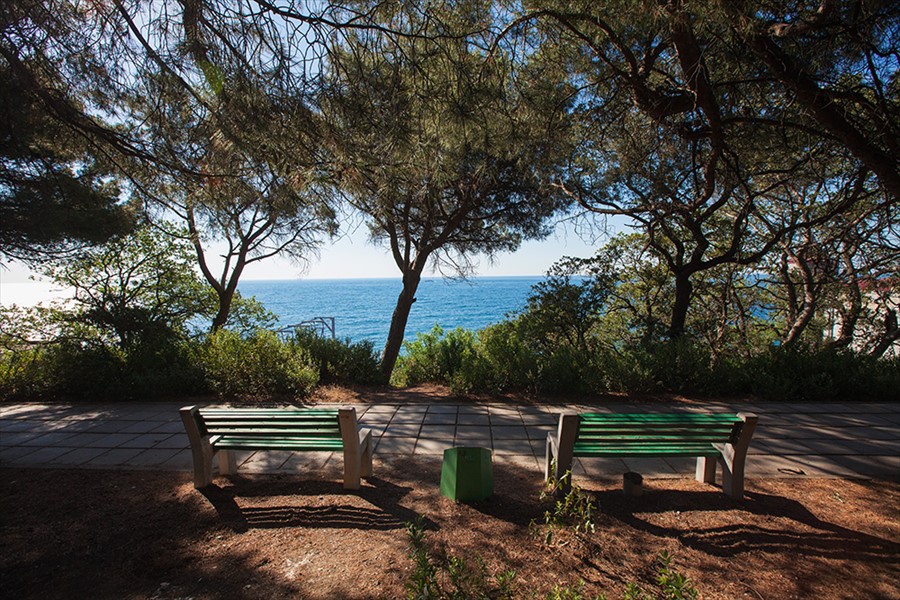 Фото Парк Авеню