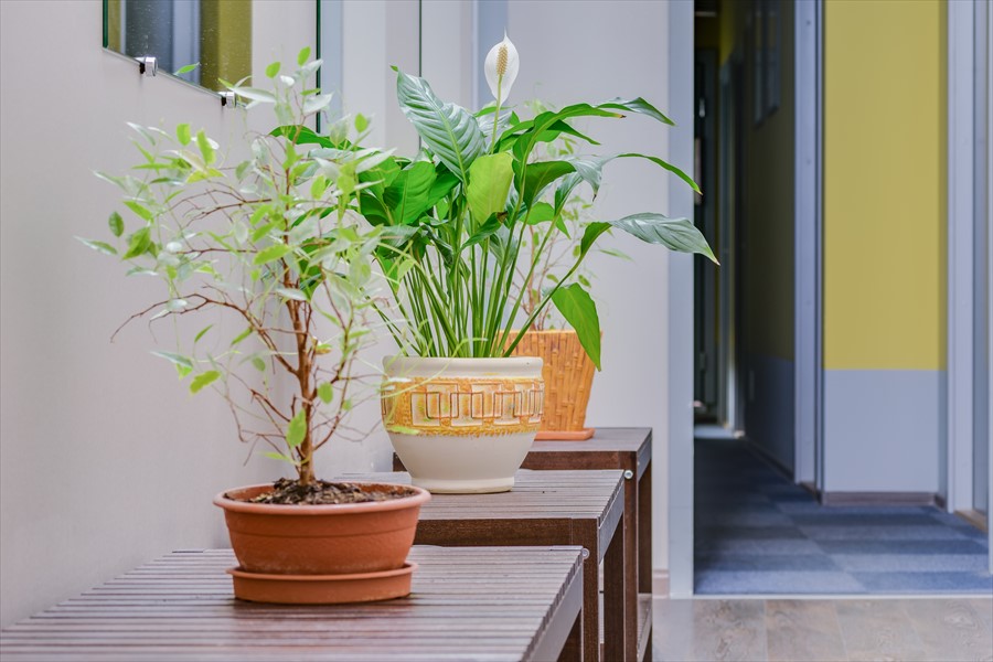 Фото 15 Комнат