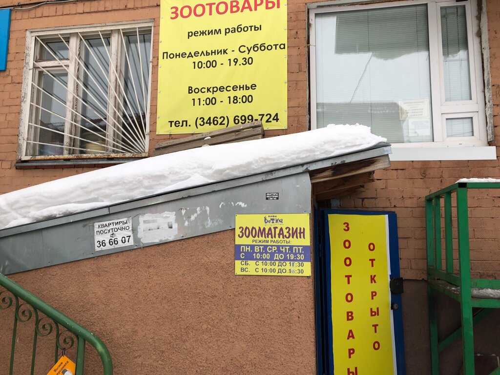 Зоомагазин Сургут Интернет Магазин