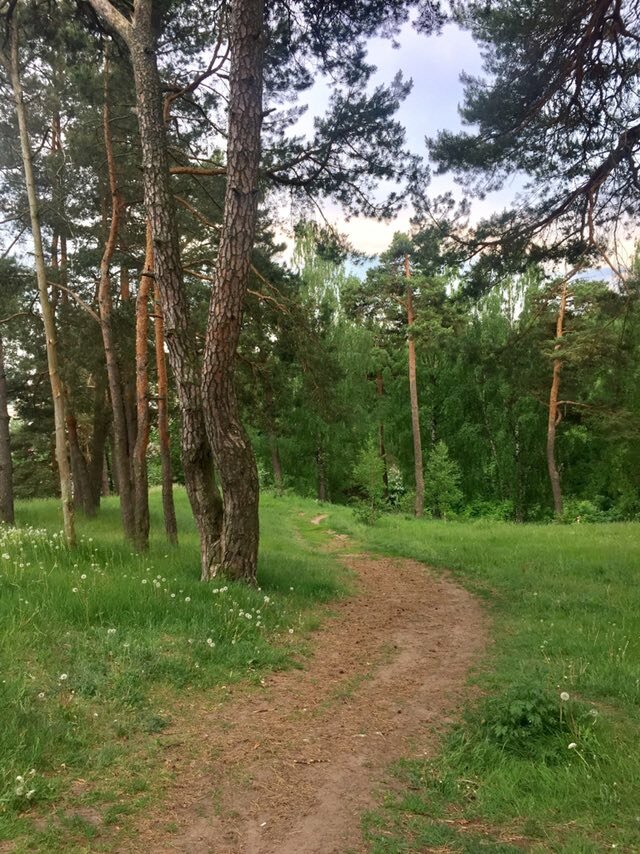 Park Liesapark Jurjeva Horka, Vitebsk, photo