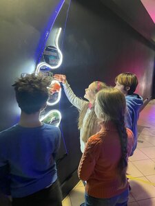 Brain museum (Saint Petersburg, Marata Street, 86), museum