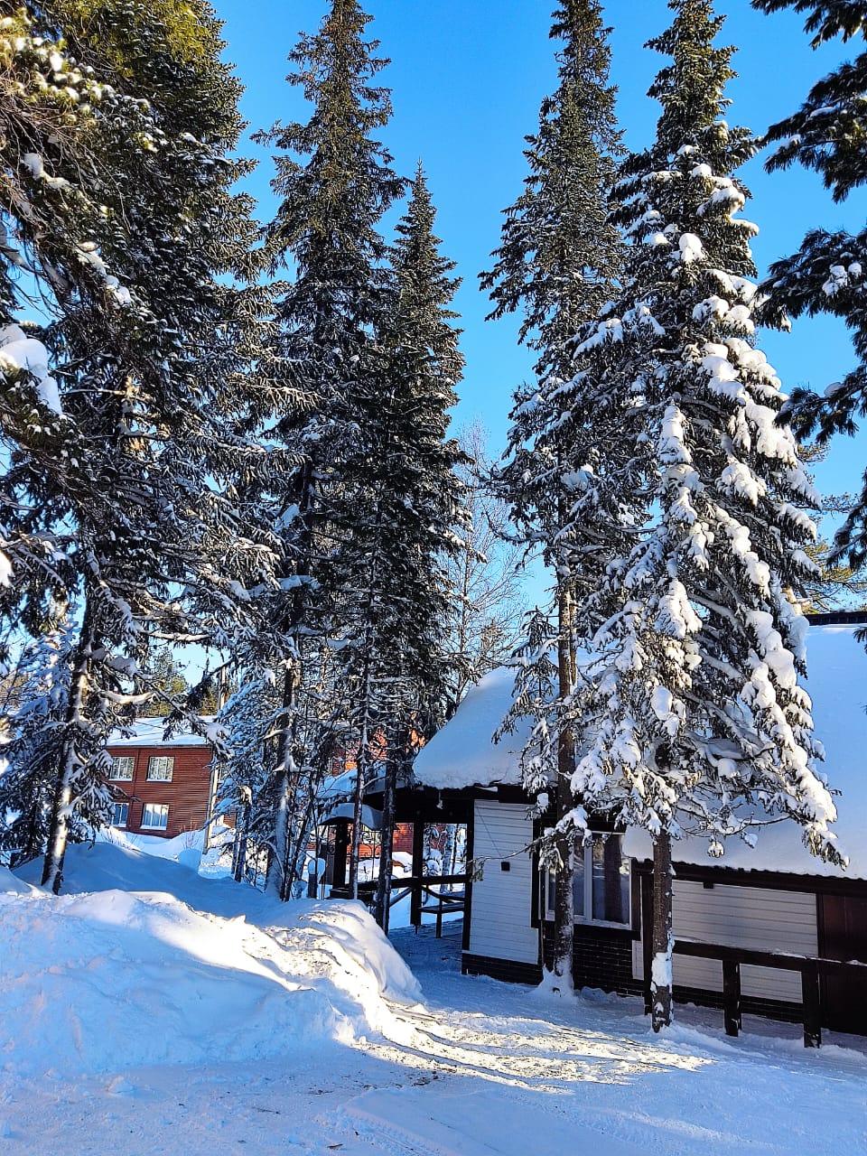 Фото 4 Стихии