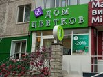 Dom Cvetkov (Ostrovskogo Street, 34/202), floristeria