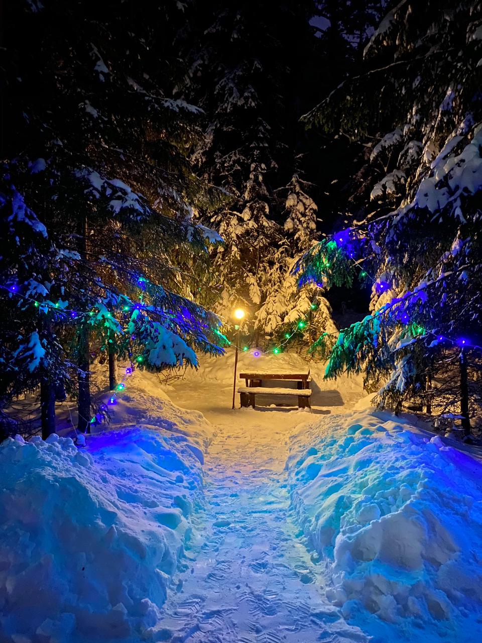 Фото Пансионат Северное сияние