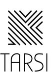 Tarsi (Generala Beloborodova Street, 18), decorative coatings