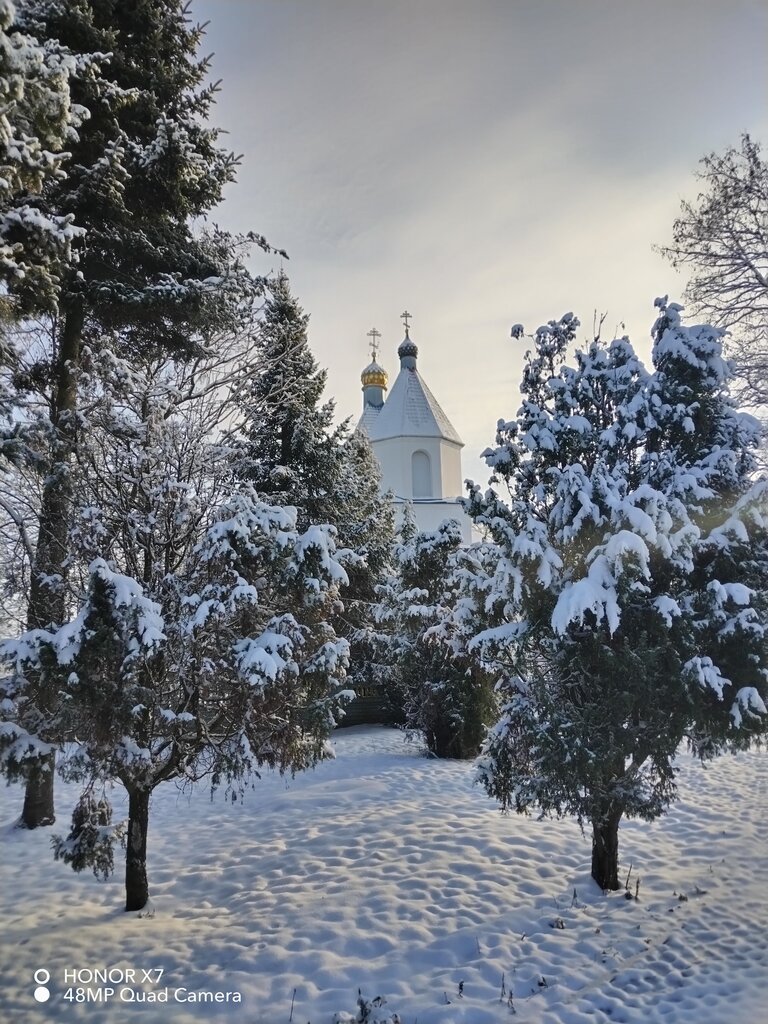 كنيسة أرثوذكسية Храм Рождества Пресвятой Богородицы ، ، صورة