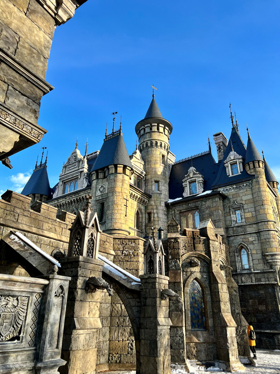 Порно комикстері