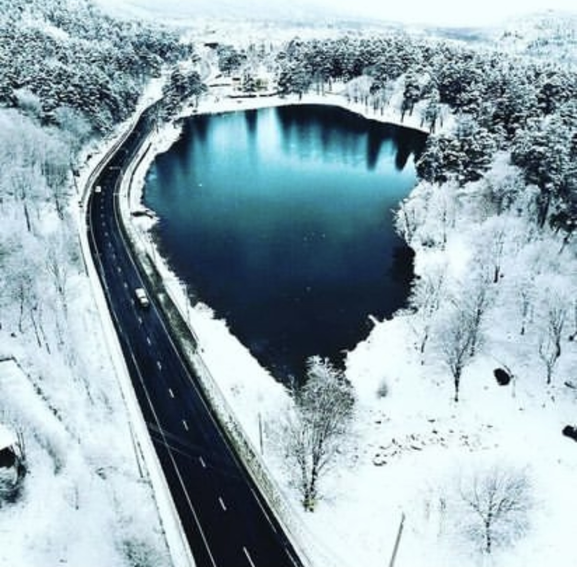 Фото У Заура