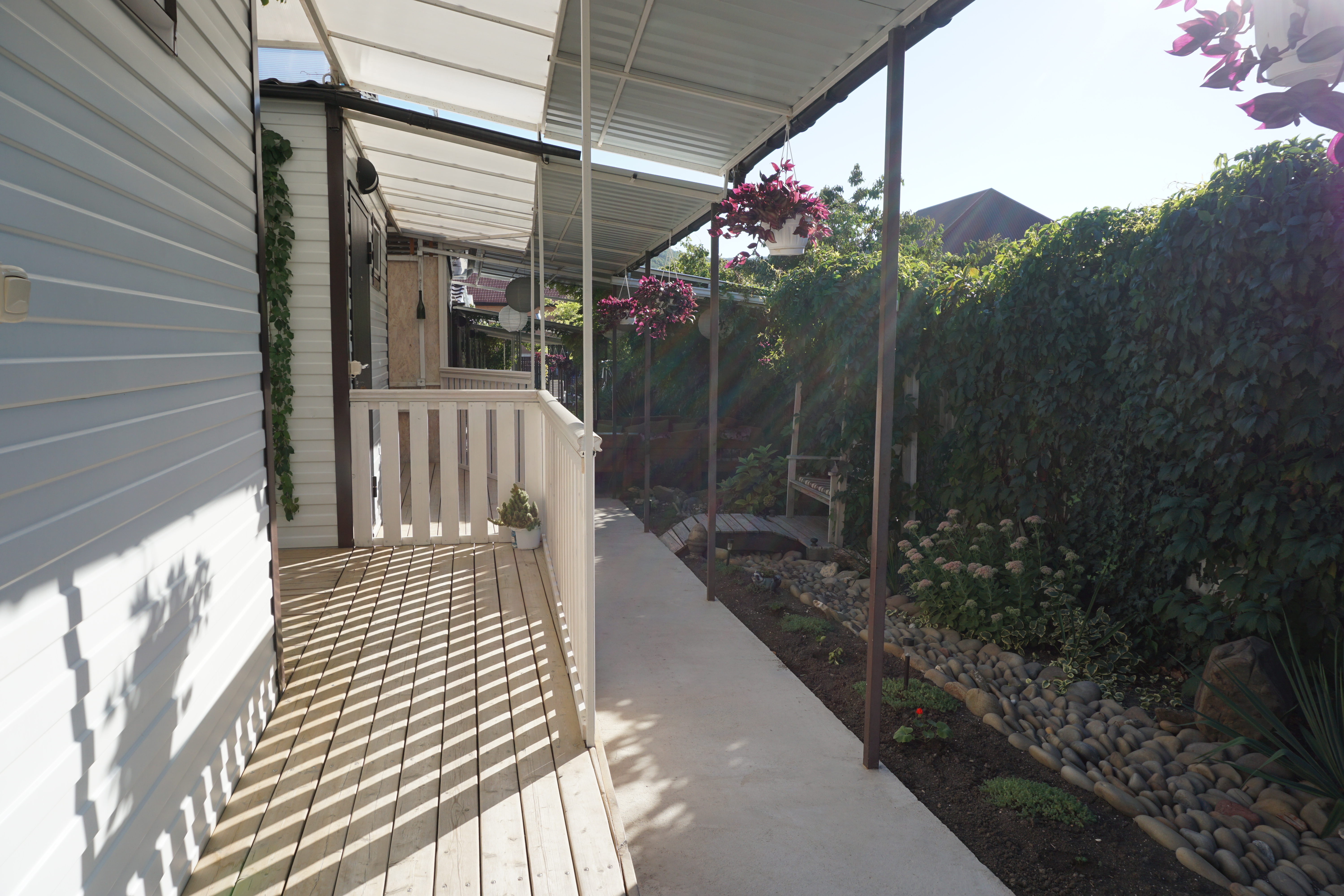 Фото Кофейное дерево