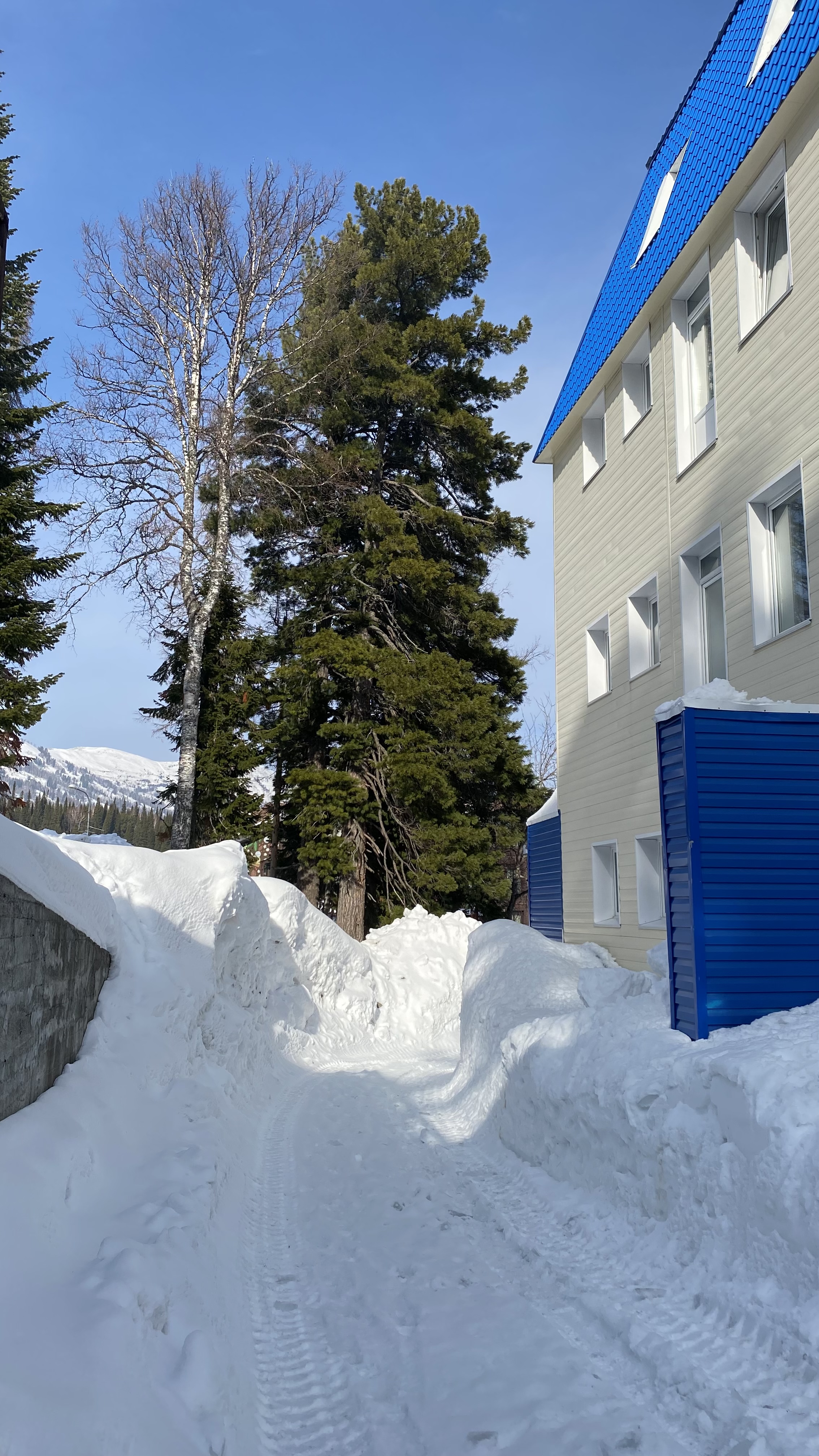 Фото Политех