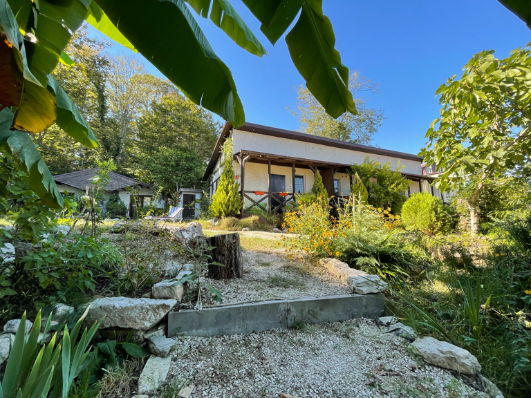 Фото Лесное царство