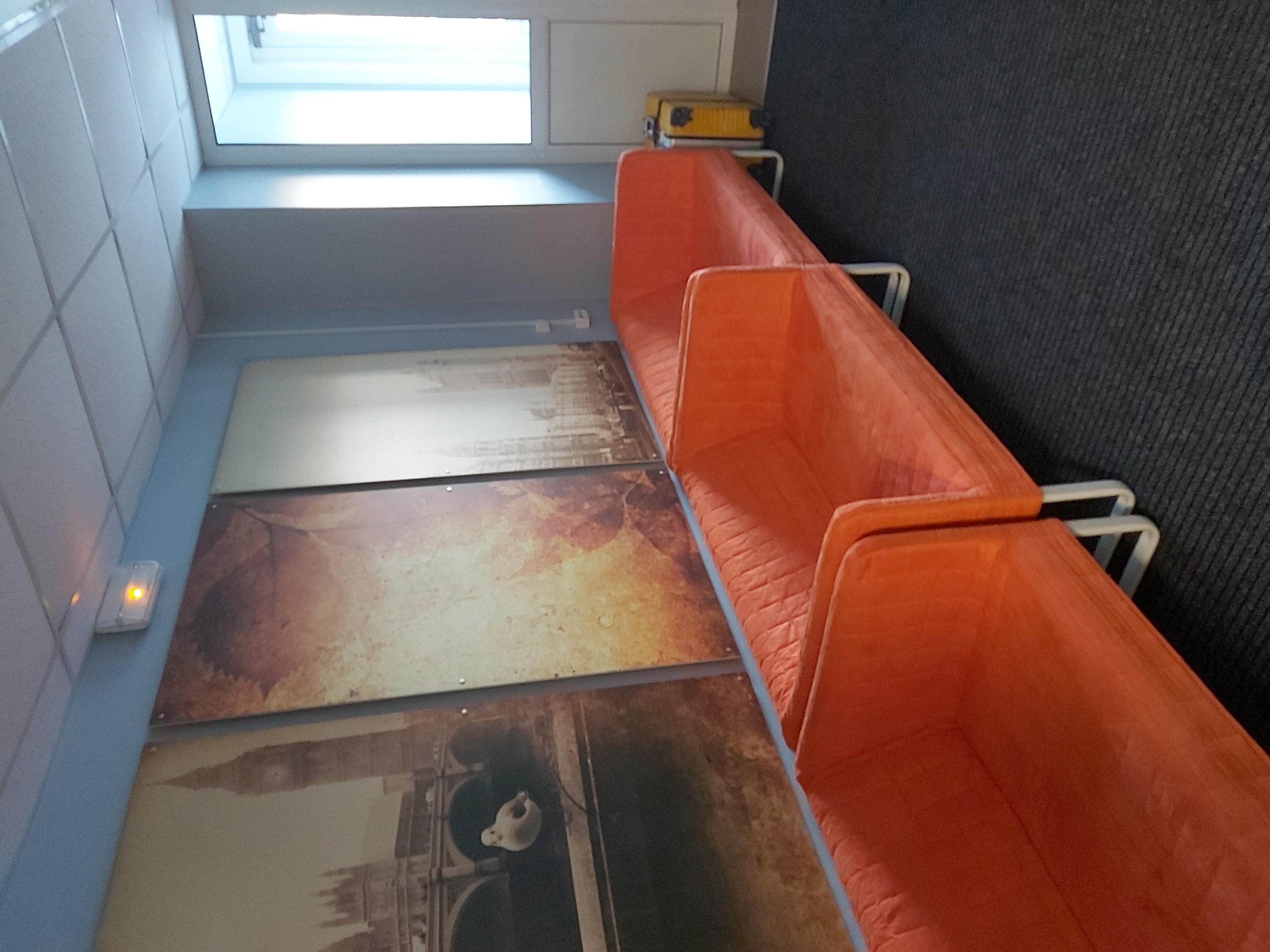 Фото Овсянка