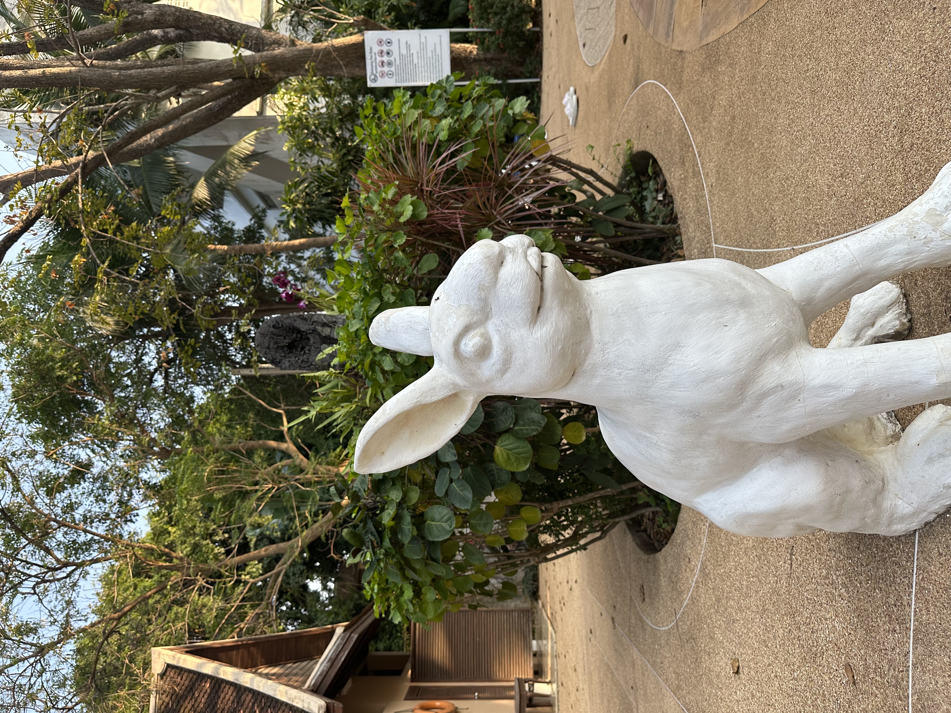 Фото Rabbit Resort Pattaya