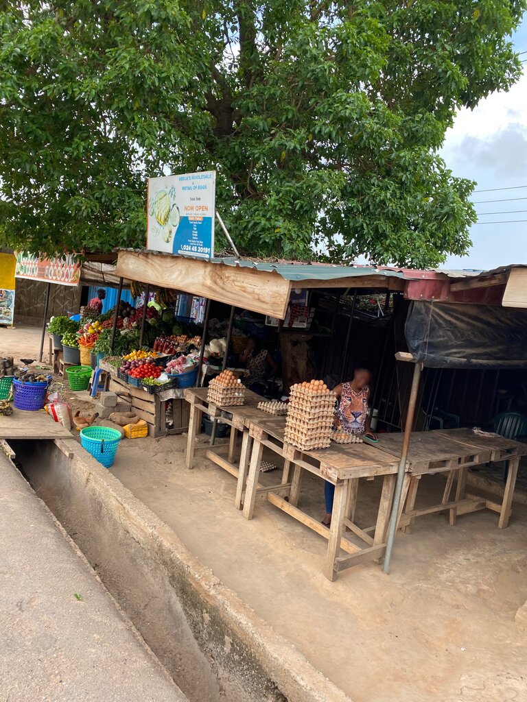 Egg and poultry meat Veecas wholesale and retail of eggs, Earth, photo