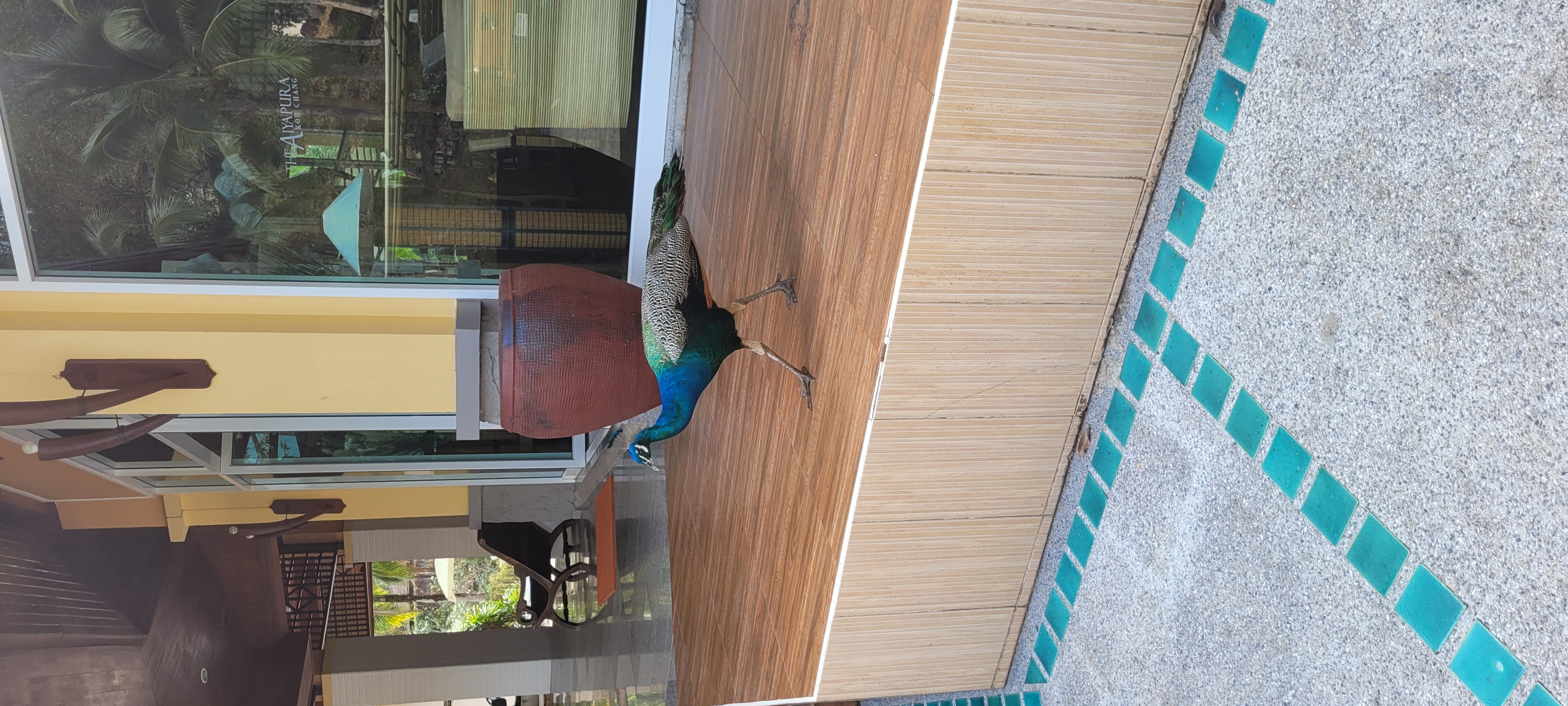 Фото The Aiyapura Koh Chang