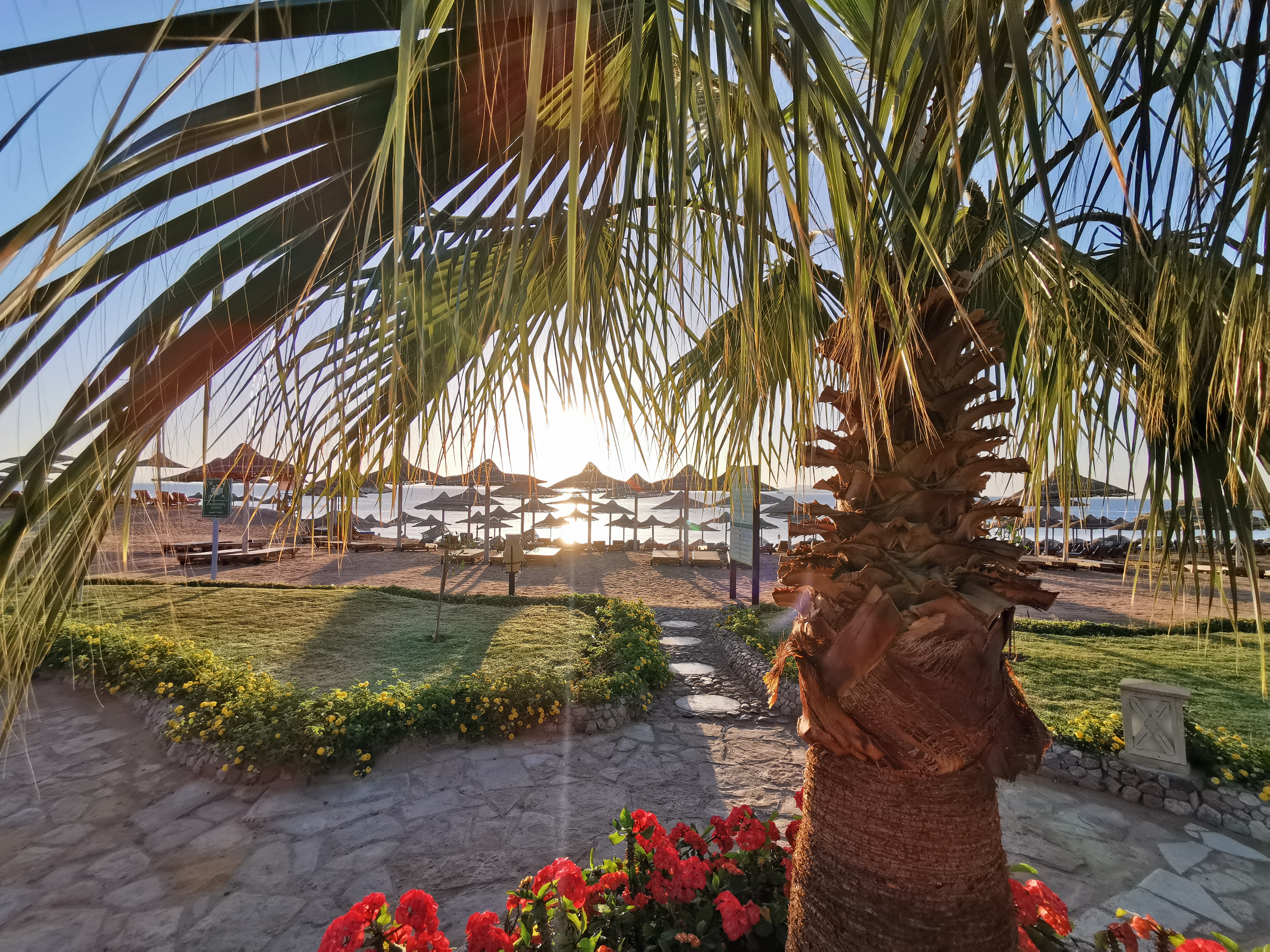 Фото Charmillion Gardens Aquapark Resort