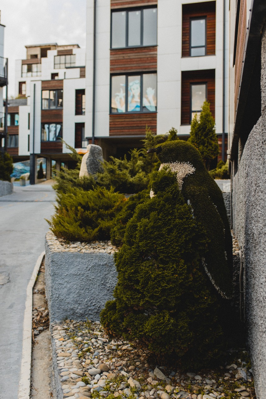 Фото ЛаСкала