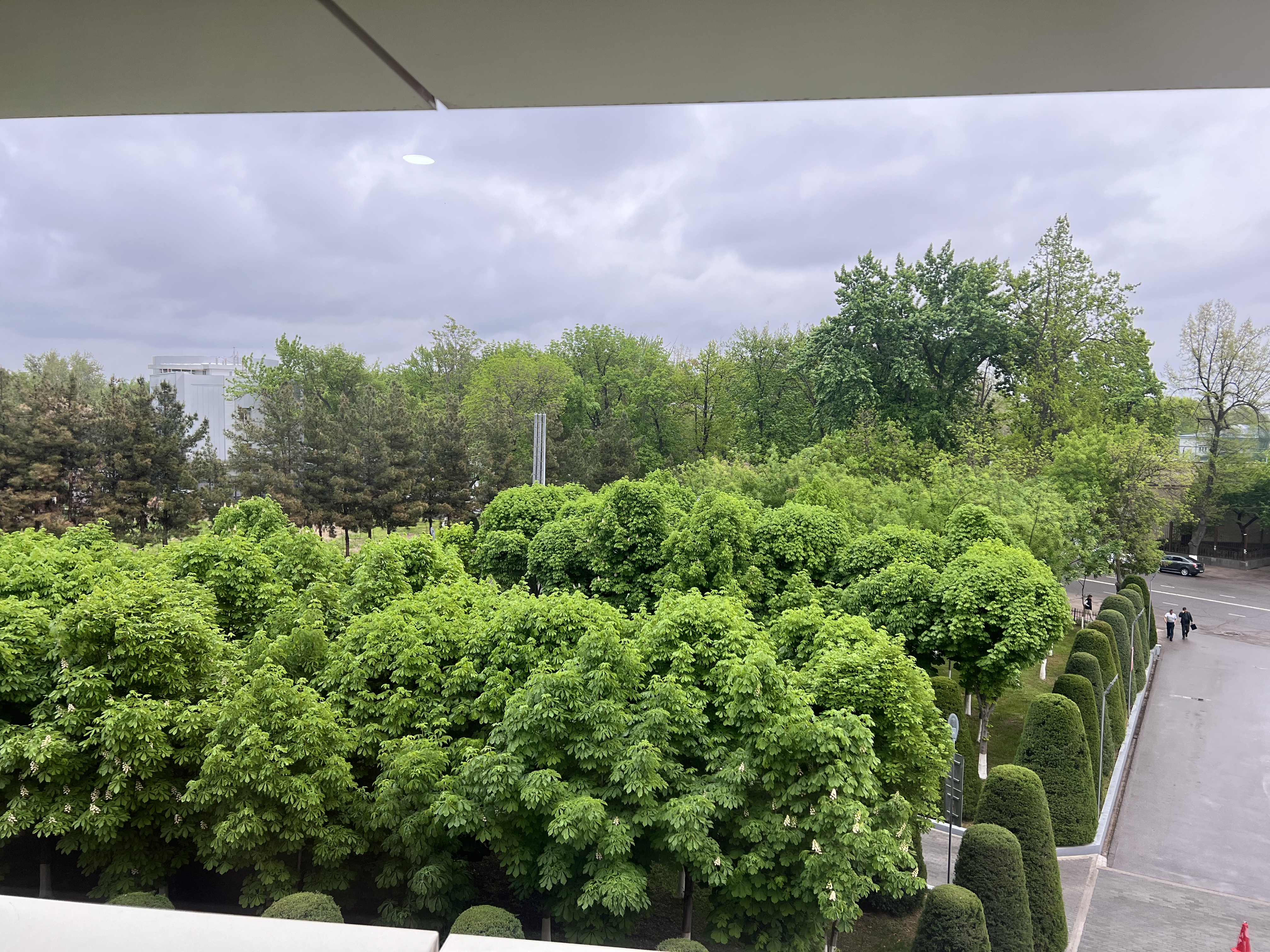 Фото Hotel Rohat Chilonzor