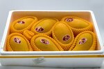PrimFrukt (Limichyovskaya ulitsa, 21), foodstuffs wholesale