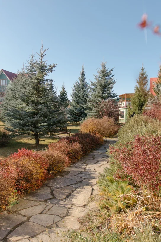 Фото Здрава Дача