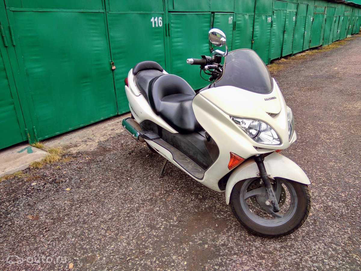 Honda Forza Custom