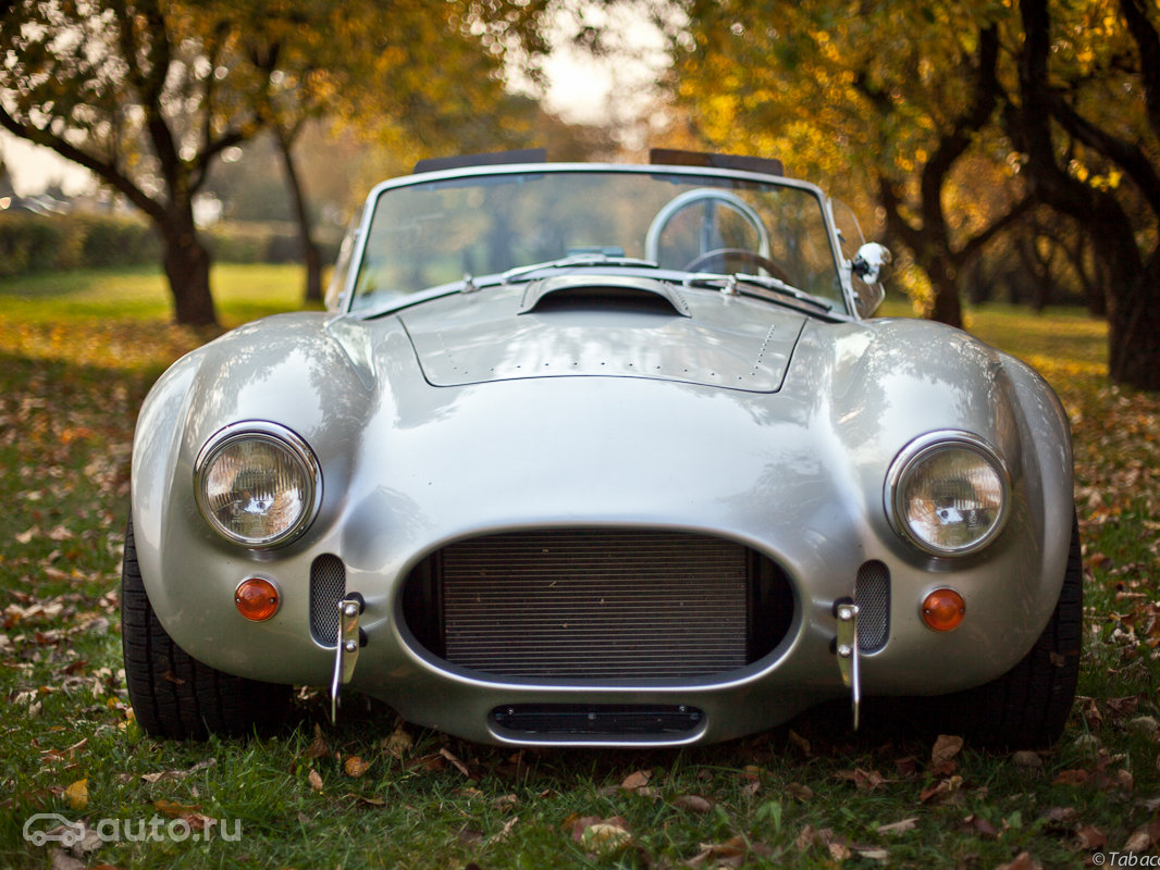 2004 AC Cobra, Mk V, серебристый, 5500000 рублей - вид 1