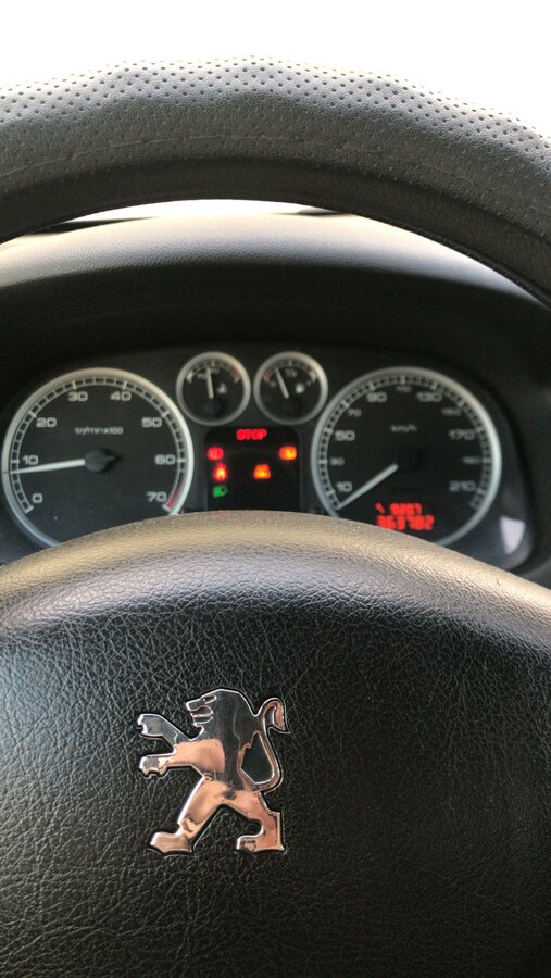 Peugeot 307 - 3 от автора Марина в Бортжурнале