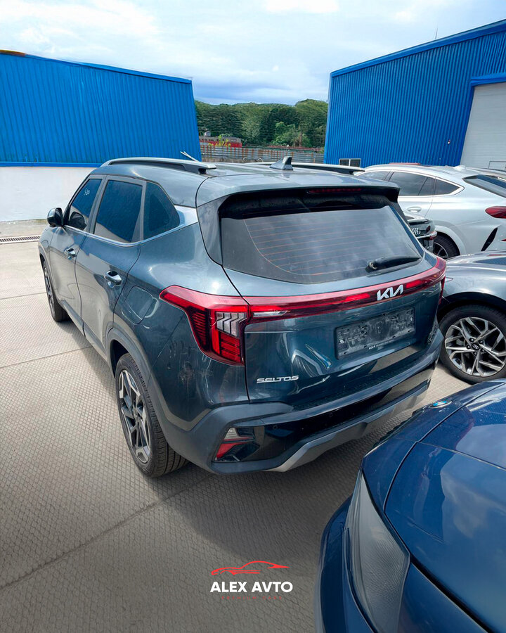 Kia Seltos - 8 от автора Alex Avto в Бортжурнале