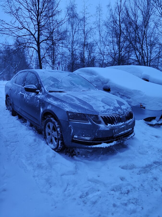 Skoda Octavia - 1 от автора Viktor в Бортжурнале