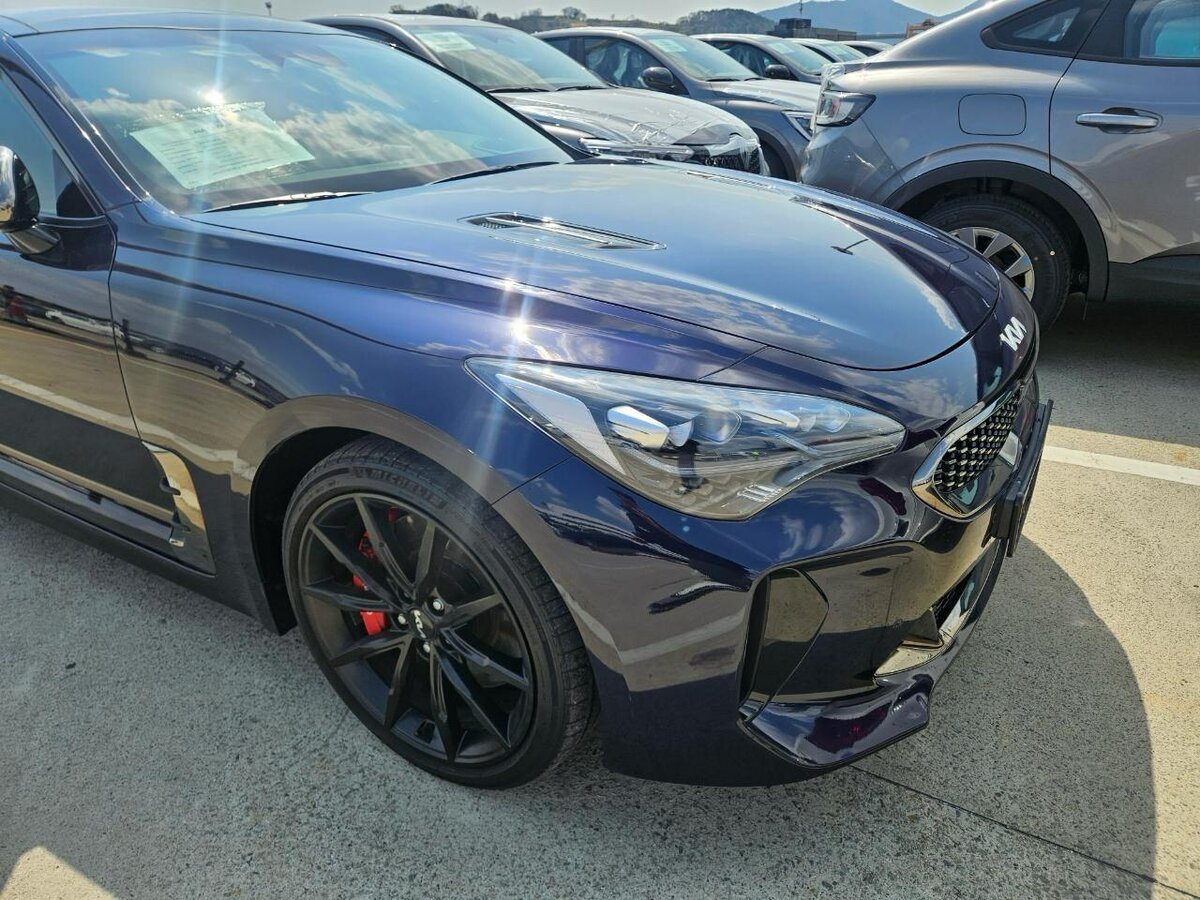 Kia Stinger - 1 от автора Korean-Auto в Бортжурнале