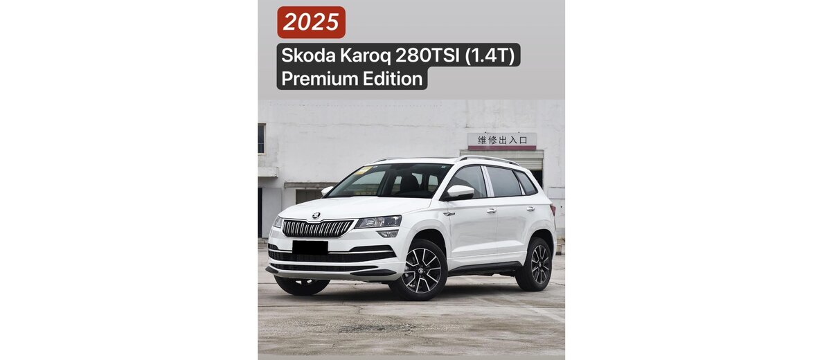 Skoda Karoq - 1 от автора Александр Avtoimport в Бортжурнале