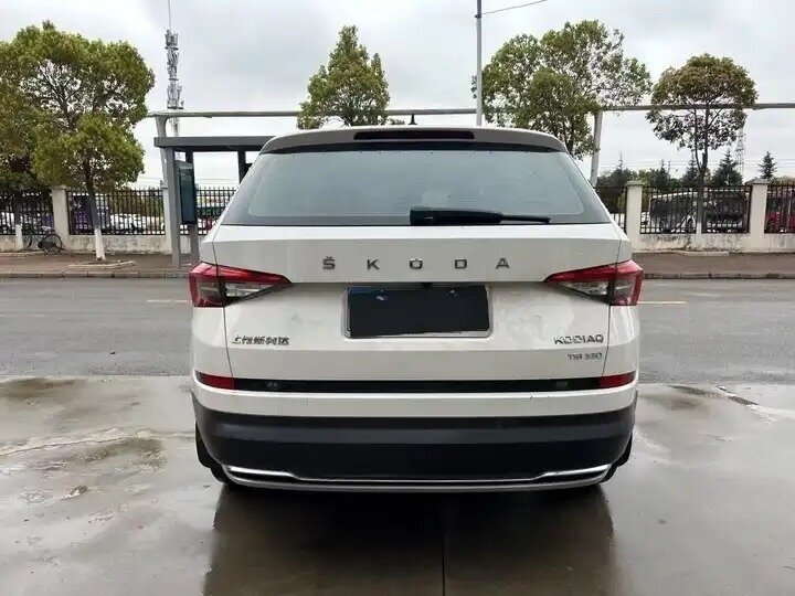 Skoda Kodiaq - 4 от автора Роман в Бортжурнале