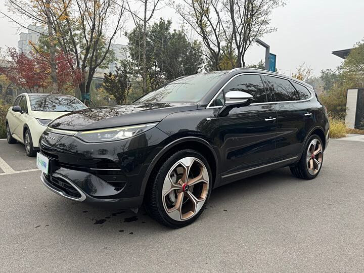 Denza X - 4 от автора Авто из Южной Кореи, Японии и Китая. в Бортжурнале