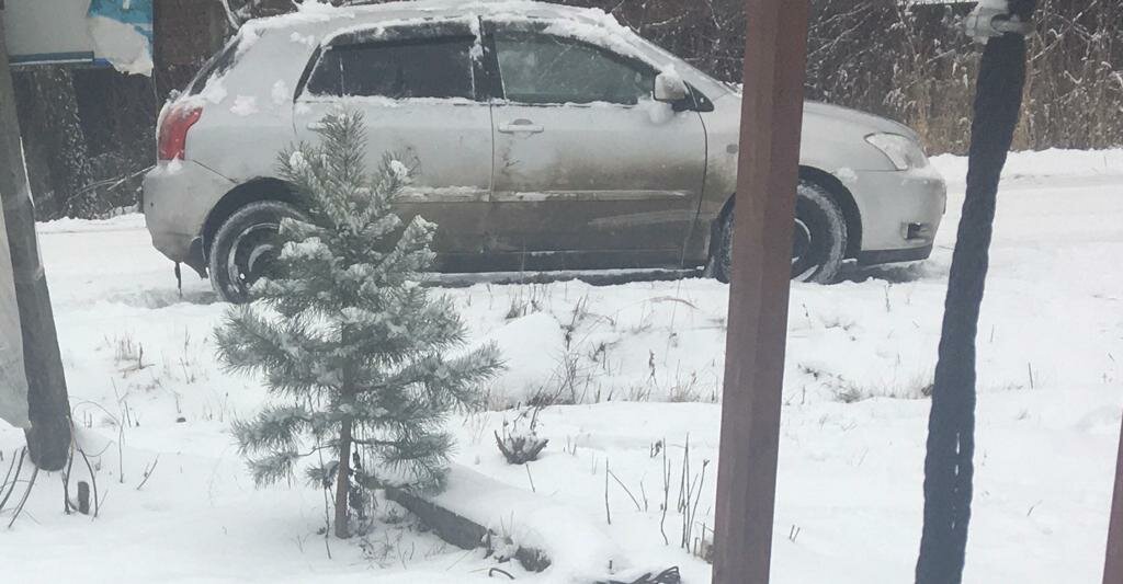 Toyota Corolla - 1 от автора Максим в Бортжурнале