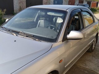 Kia Shuma - 12 от автора вит в Бортжурнале