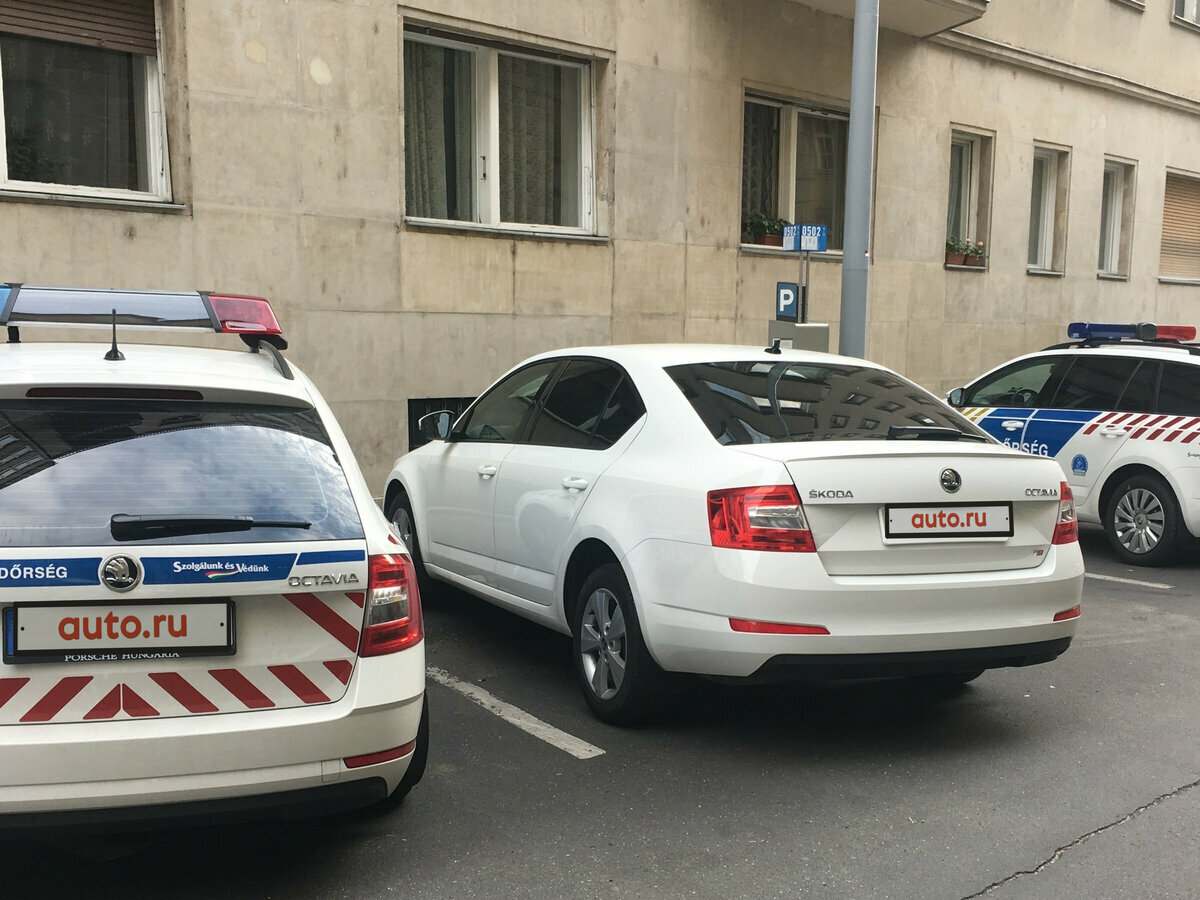 Skoda Octavia - 5 от автора Всеволод в Бортжурнале