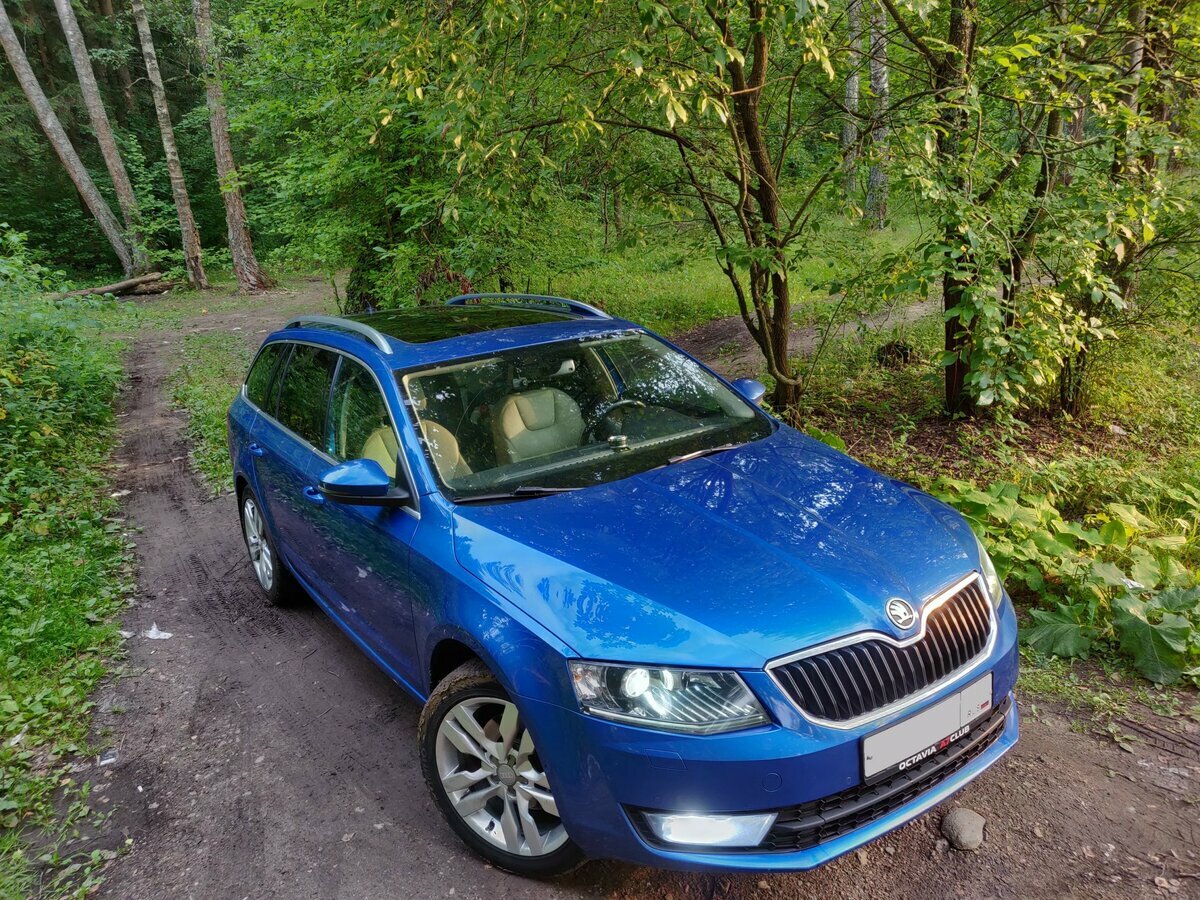 Skoda Octavia - 5 от автора ЕЕ в Бортжурнале